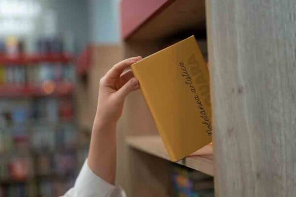 Festival Do Guara Abre Edital De Artes Visuais