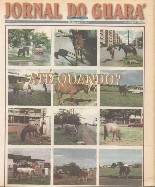 Capa da edição nº 207