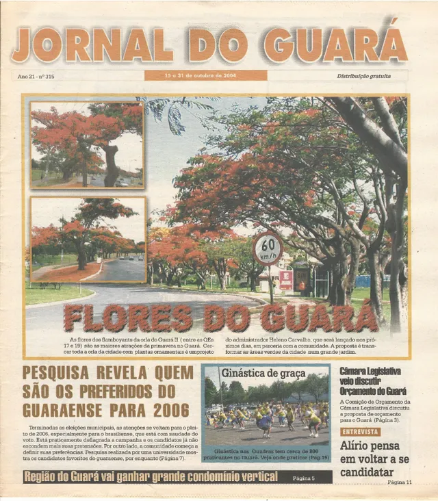 Capa da edição nº 315
